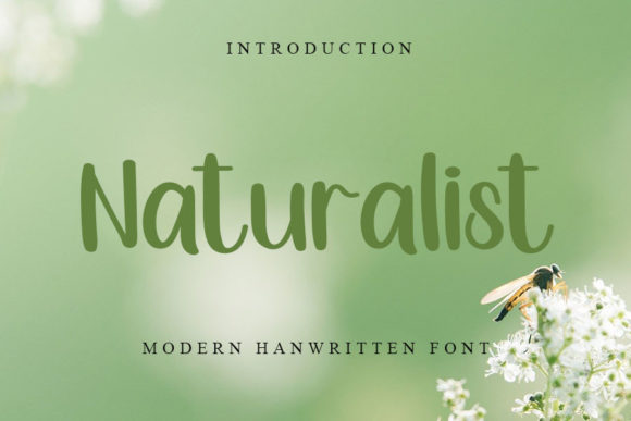 Naturalist: A Font That Breathes Life Into Your Handmade Creations