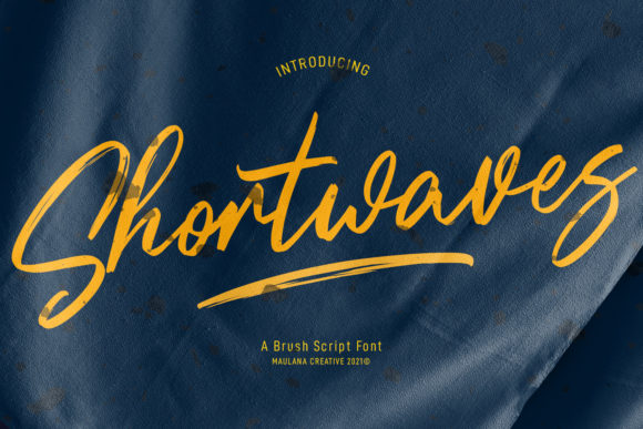 Shortwaves: A Refined Script Font for Real Business Branding