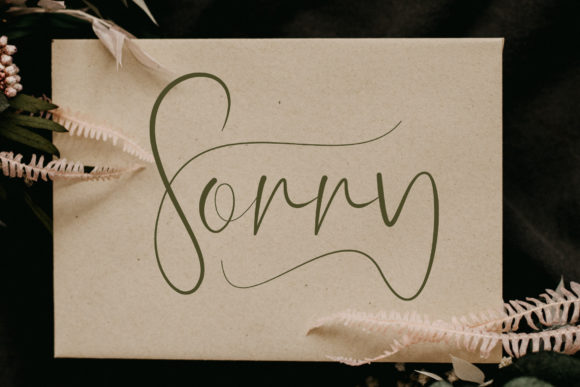 Sorry Font: A Graceful Script for Scroll-Stopping Marketing